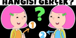 İbi ve Tosi Hangisi Gerçek? Eğlenceli Bulmaca