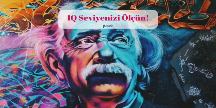 3 Soruluk IQ testi