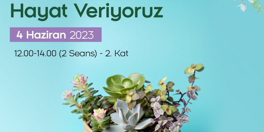 Yaz çiçeklerle karşılanacak