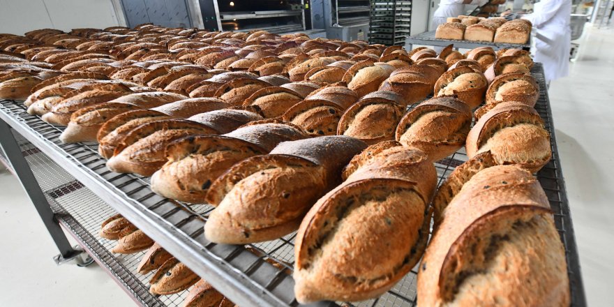 Ekşi Mayalı Köy Ekmeleri Ankaralılara Sunuldu