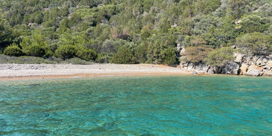 Bodrum'da Ada ve Koylarda Kıyı Temizliği