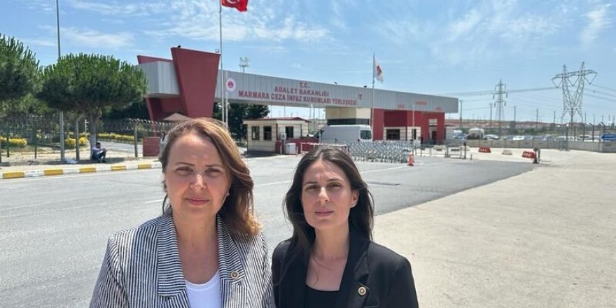 Semra Dinçer’den Gezi Tutukluları ve Yanardağ’a Ziyaret