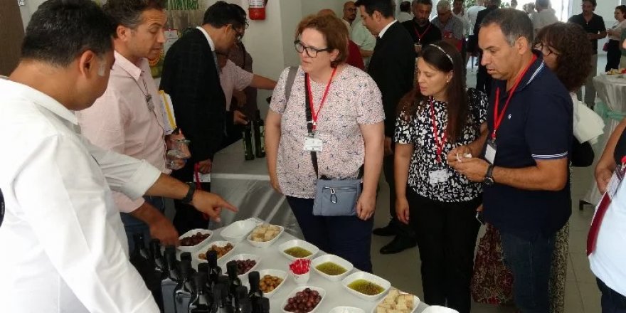 Çanakkale Zeytin ve Zeytinyağı'da Kaliteyi Yükseltiyor